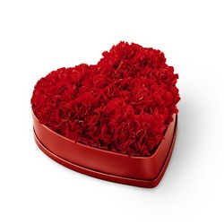 The FTD Heartfelt Carnation Box from Victor Mathis Florist in Louisville, KY